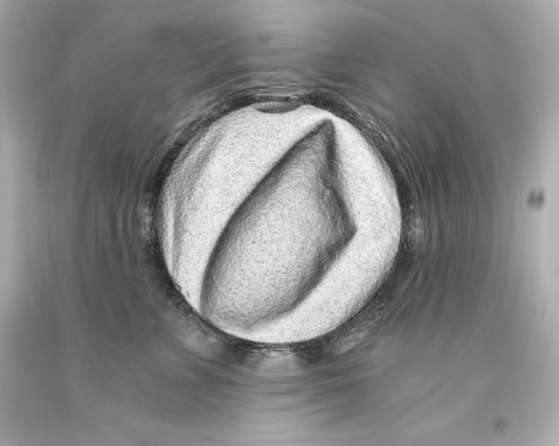 X0000093100715200710241221