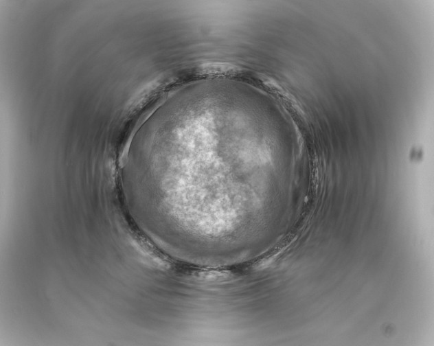 X0000093100716200710241221