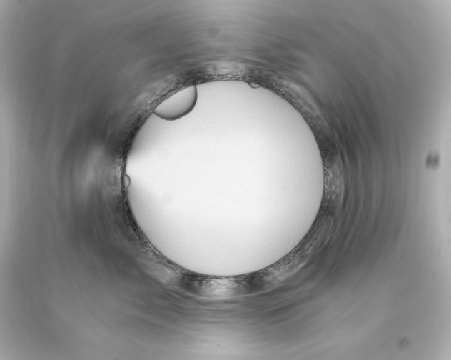 X0000093100717200710241221