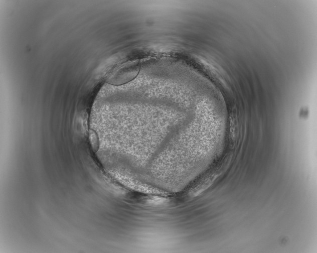X0000093100718200710241221