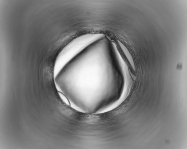 X0000093100719200710241221