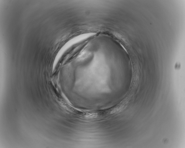X0000093100720200710241221