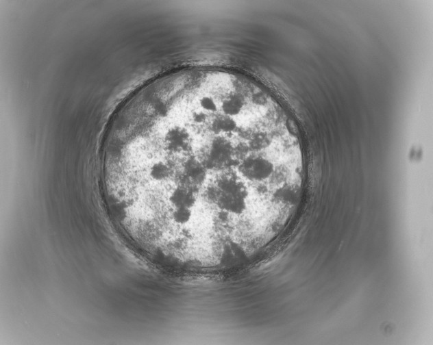 X0000093100721200710241220