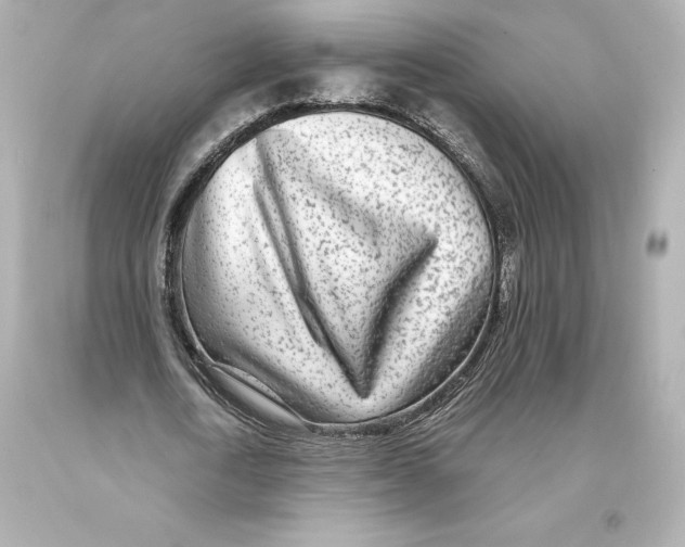 X0000093100722200710241220