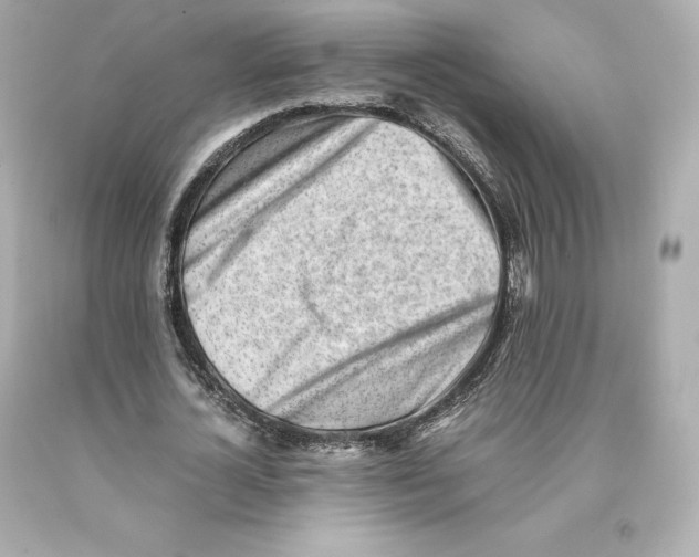 X0000093100724200710241220
