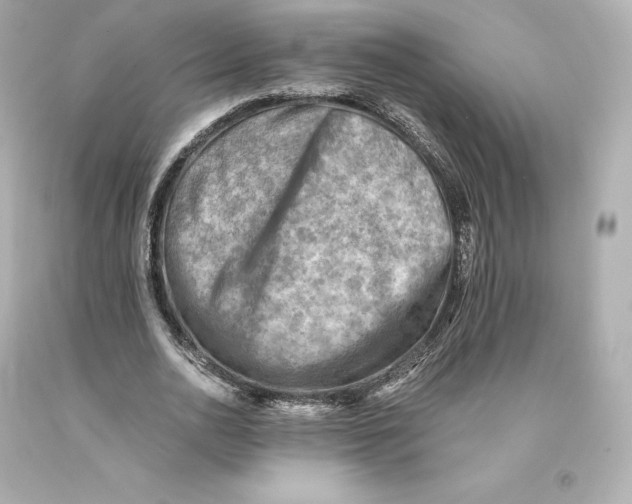 X0000093100726200710241220