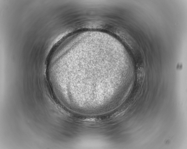 X0000093100727200710241220