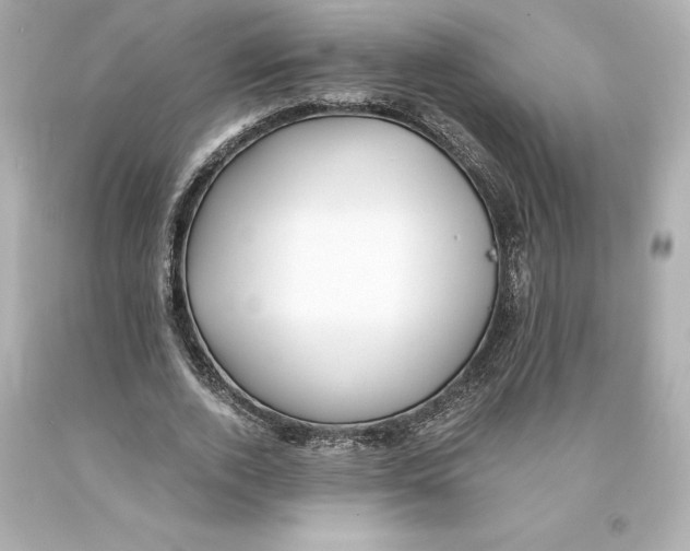 X0000093100728200710241220