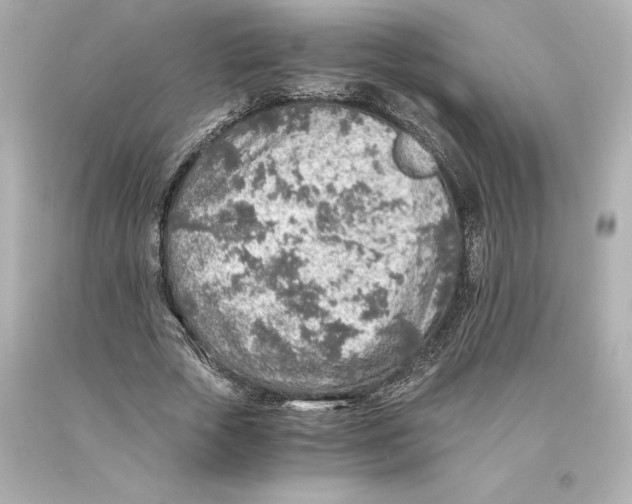 X0000093100729200710241220