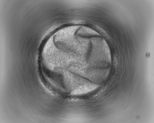X0000093100730200710241220