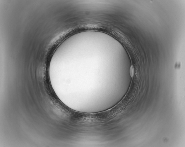 X0000093100732200710241220
