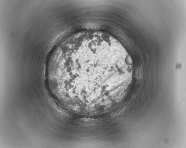 X0000093100733200710241220