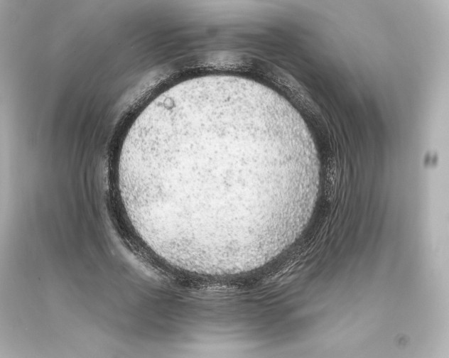 X0000093100734200710241220