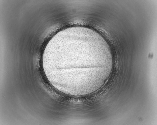 X0000093100735200710241220