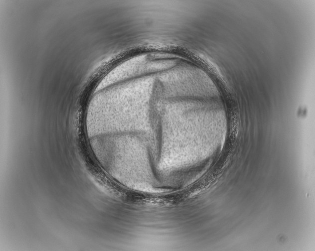 X0000093100736200710241220
