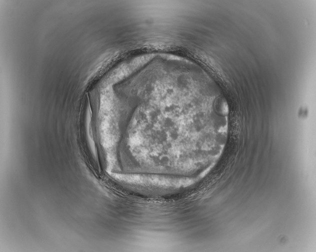 X0000093100738200710241220