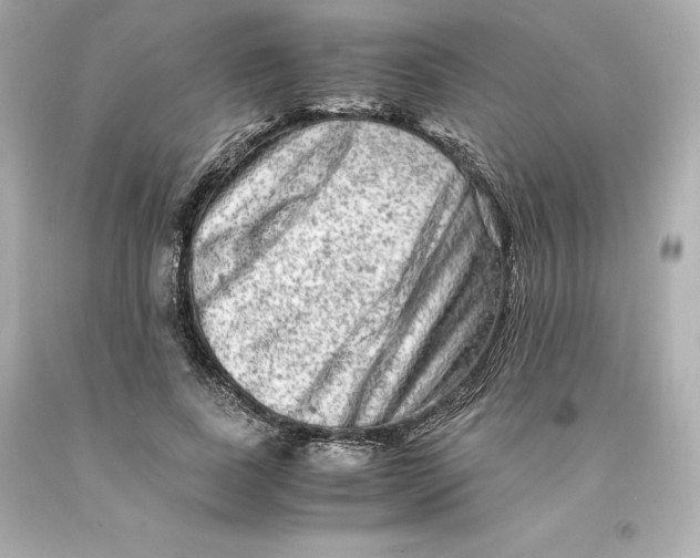 X0000093100739200710241220