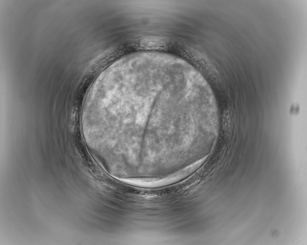 X0000093100741200710241220