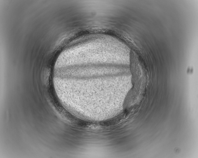 X0000093100742200710241220