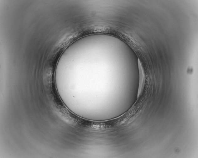 X0000093100744200710241220