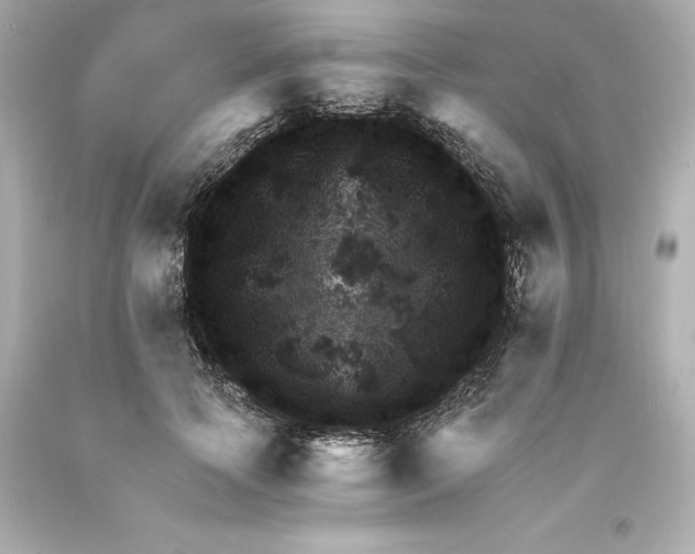 X0000093100745200710241220