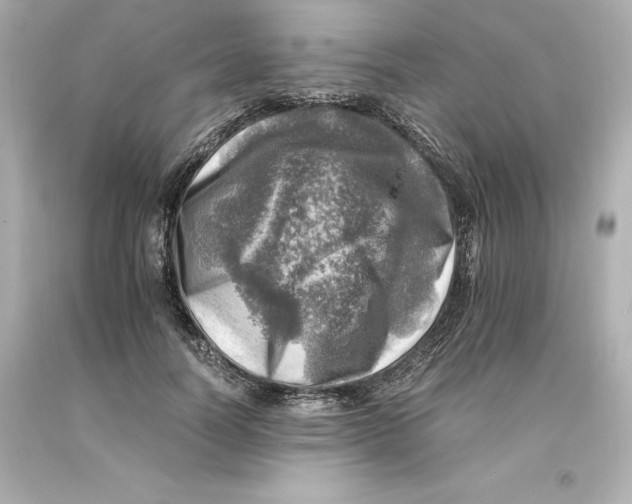 X0000093100746200710241221