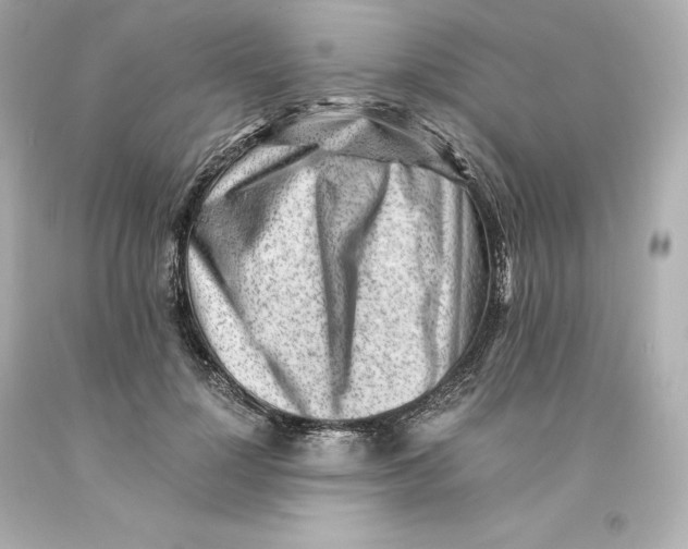X0000093100748200710241221