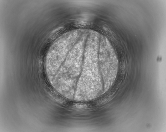 X0000093100749200710241221
