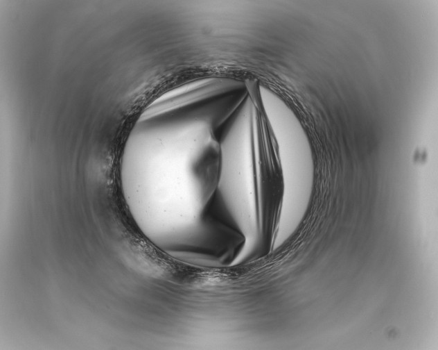 X0000093100750200710241221