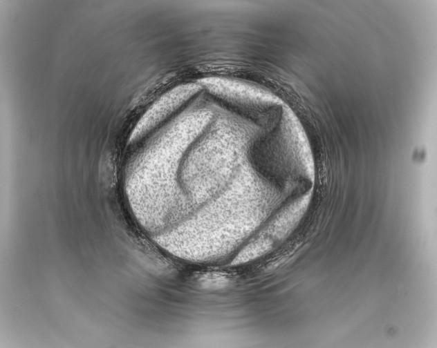 X0000093100751200710241221
