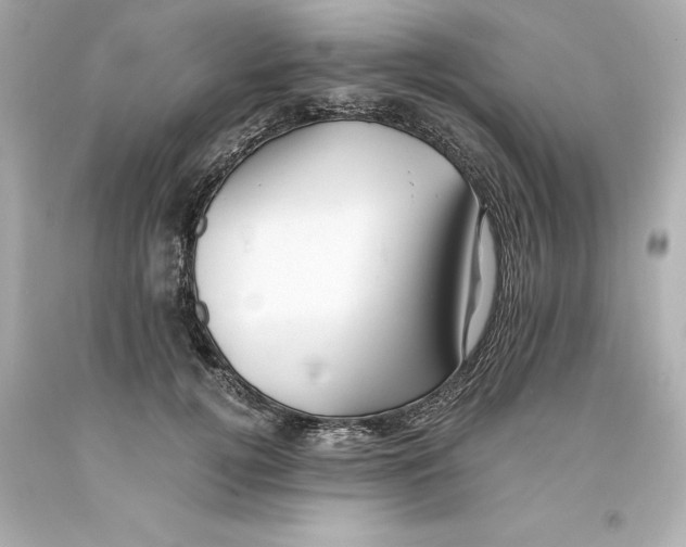 X0000093100752200710241221