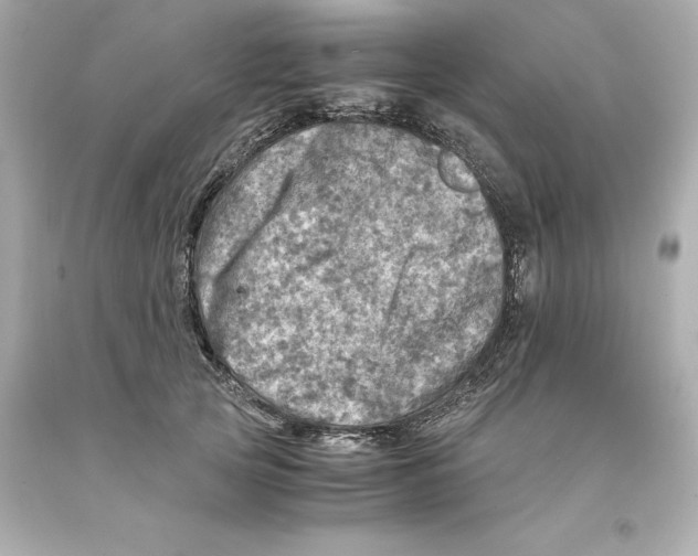 X0000093100753200710241221