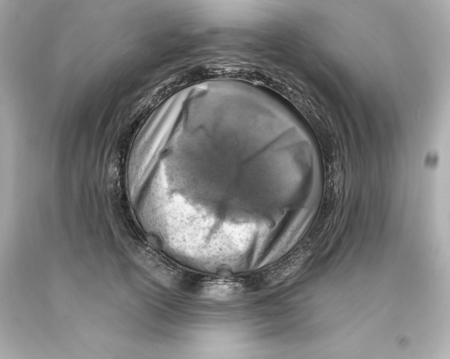 X0000093100754200710241221