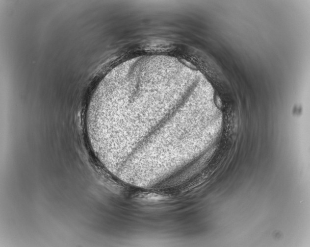 X0000093100755200710241221