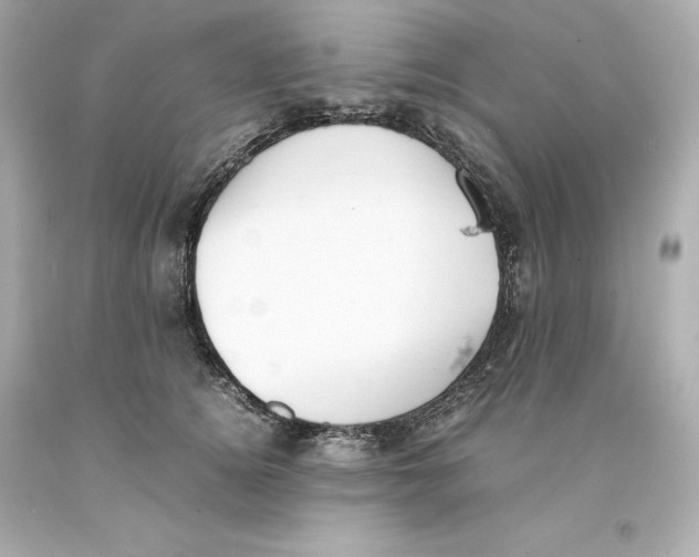 X0000093100756200710241221