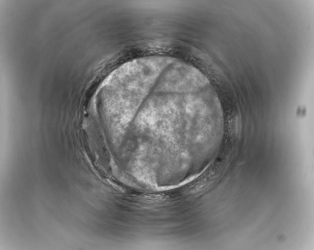X0000093100757200710241221