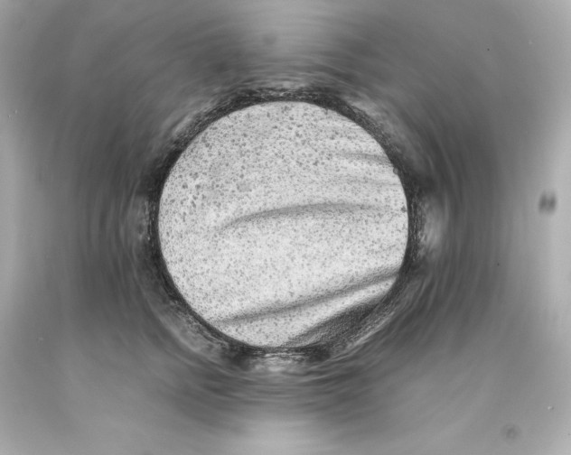 X0000093100758200710241221