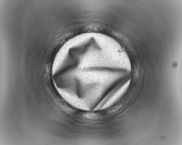X0000093100759200710241221