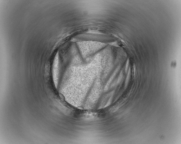 X0000093100760200710241221