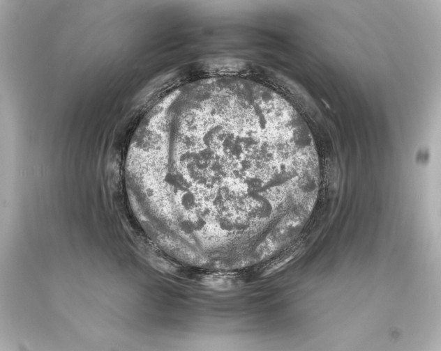 X0000093100761200710241221