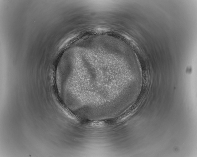 X0000093100762200710241221