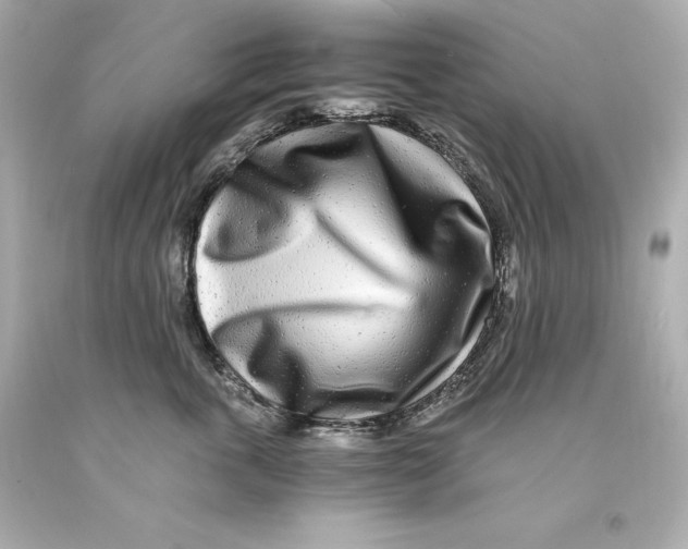 X0000093100763200710241221