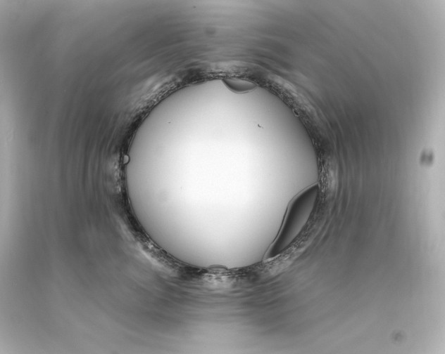 X0000093100764200710241221