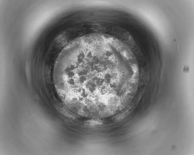X0000093100765200710241221