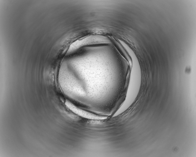 X0000093100766200710241221
