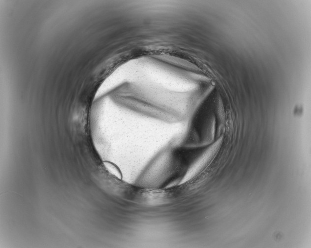 X0000093100767200710241221