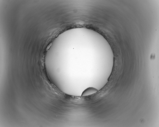 X0000093100768200710241221