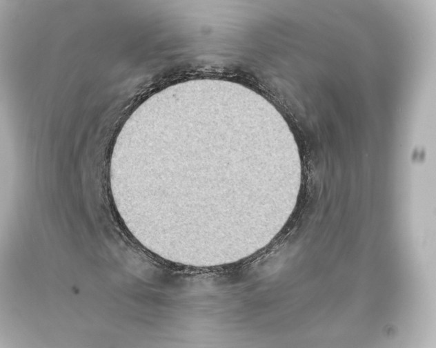 X0000093100769200710241220