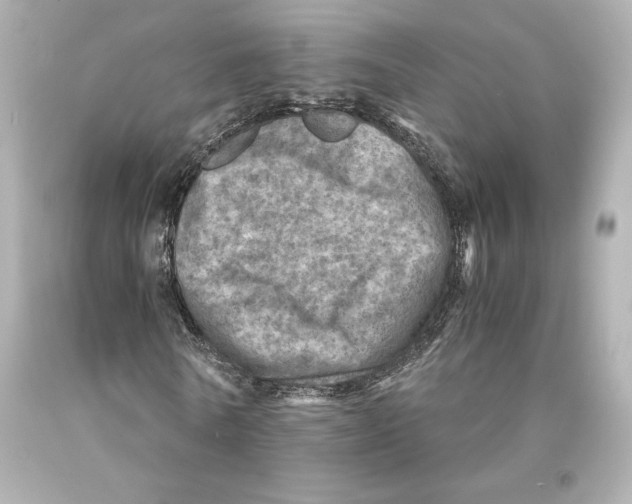 X0000093100770200710241220