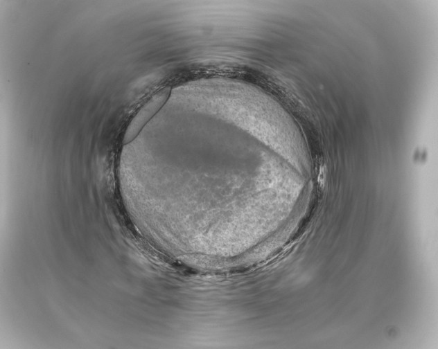 X0000093100771200710241220